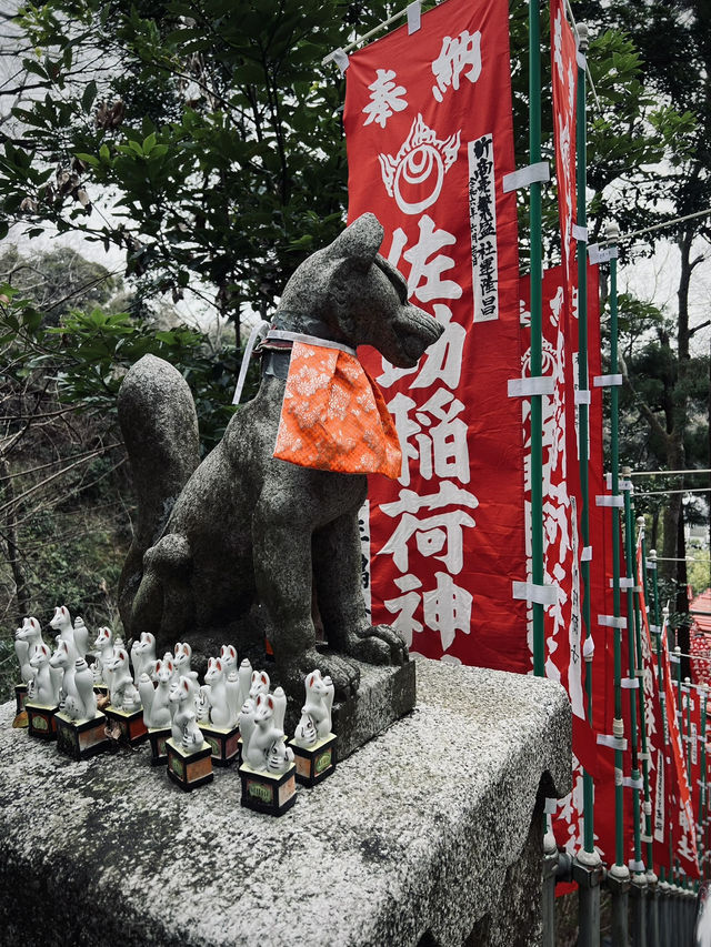 鎌倉充滿狐狸的神秘神社｜佐助稻荷大社！