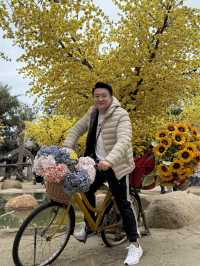 Da Lat in #April Blooms: A Review of the City of Eternal Spring
