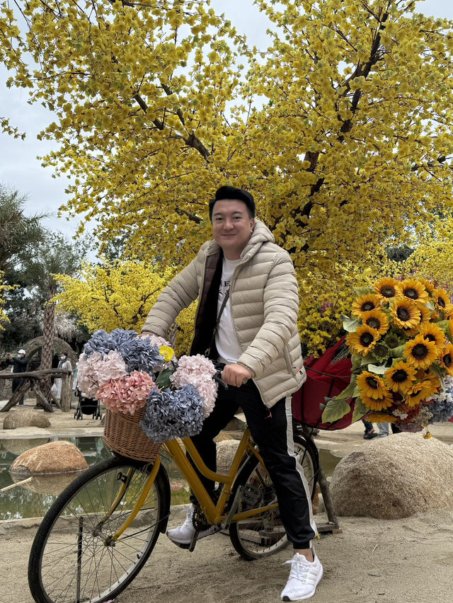 Da Lat in #April Blooms: A Review of the City of Eternal Spring