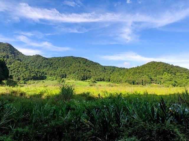 #雙連埤-宜蘭縣員山鄉