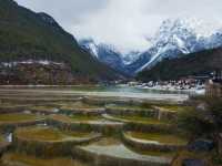 Jade Dragon's Embrace: Where Winter Never Ends