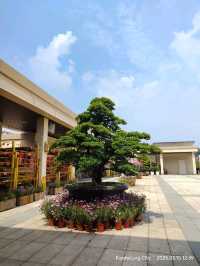 พุทธอุทยาน Fo Guang Shan พระนั่งองค์ใหญ่