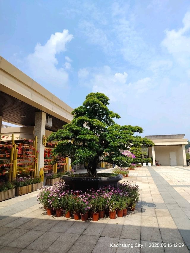 พุทธอุทยาน Fo Guang Shan พระนั่งองค์ใหญ่