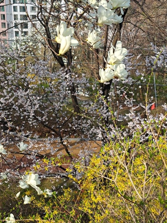 도심 속 여유, 성남 희망대공원에서