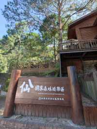 #八仙山國家森林遊樂區- 臺中市和平區