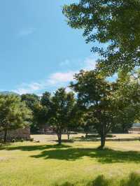 1박 2일 순천 여행 추천 코스: 자연과 전통이 어우러진 여유로운 여행 🌿