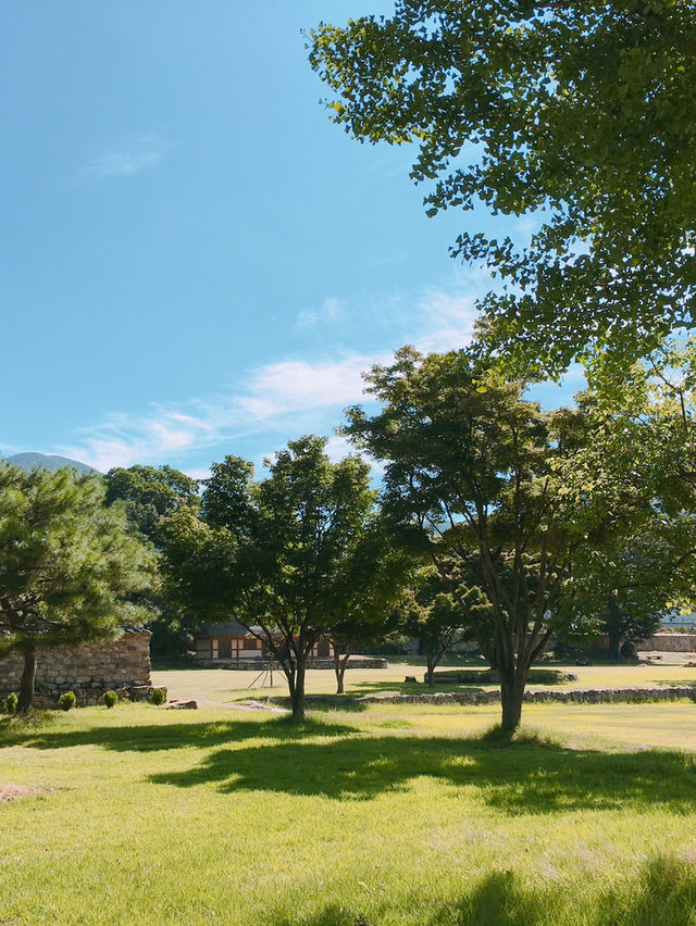 1박 2일 순천 여행 추천 코스: 자연과 전통이 어우러진 여유로운 여행 🌿