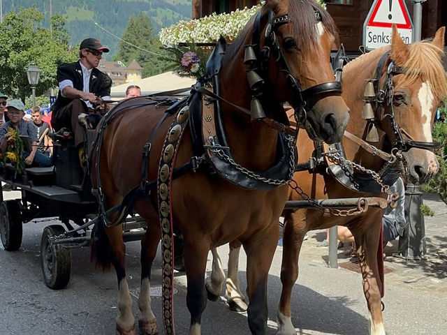 My 3-Day Itinerary at the Alpabzug Festival in Switzerland