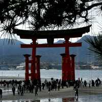Itsukushima Jinja: A Shrine That Floats on Water