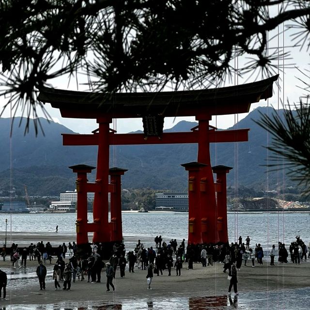 Itsukushima Jinja: A Shrine That Floats on Water