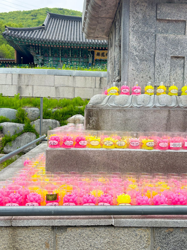 🪷부처님 오신날에 여긴 꼭 가야죠!🪷