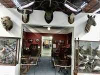 Booth Museum of Natural History