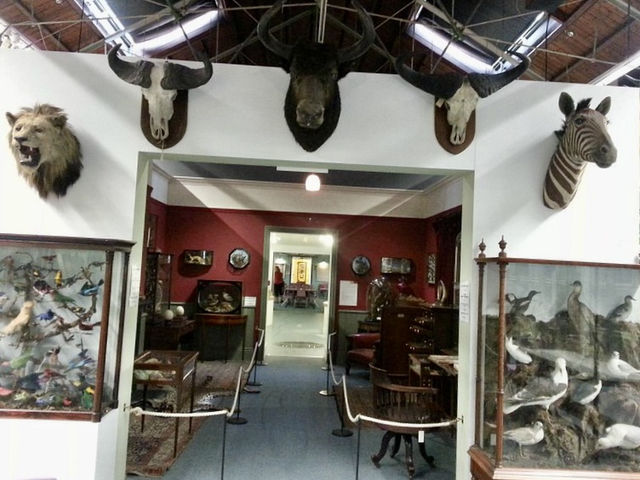 Booth Museum of Natural History