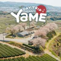 Yame Japan