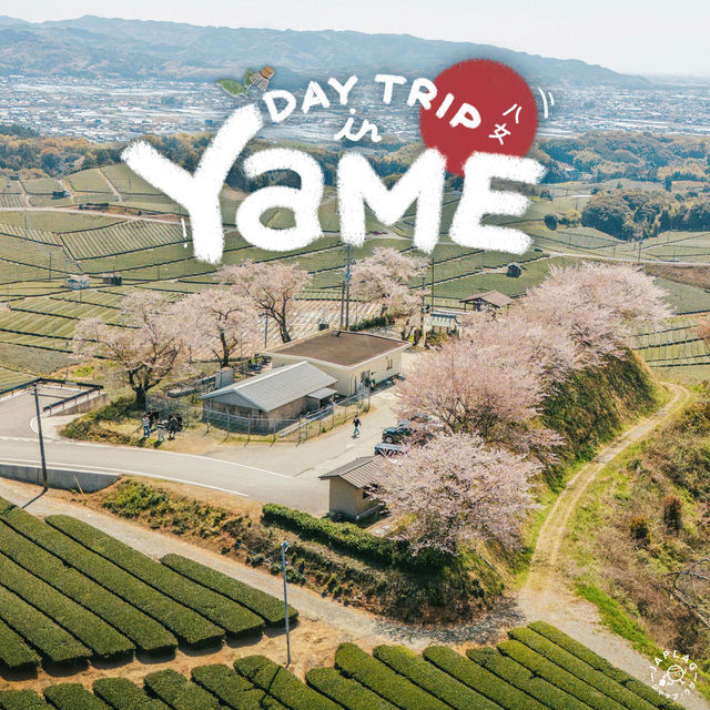 Yame Japan