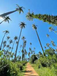 เกาะหมาก (Koh Mak) ความเงียบสงบและสโลว์ไลฟ์