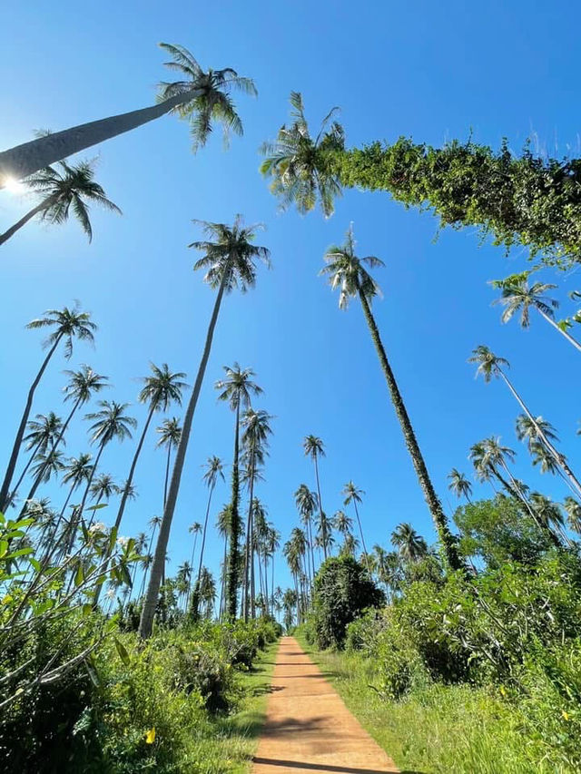 เกาะหมาก (Koh Mak) ความเงียบสงบและสโลว์ไลฟ์