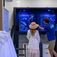 ศูนย์การเรียนรู้ทางทะเล Marine Biological Center