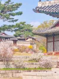 💕서울 가족과 함께 걷기좋은 코스 추천 창경궁🪾