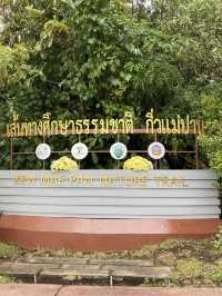 เส้นทางศึกษาธรรมชาติ กิ่วแม่ปาน - ดอยอินทนนท์