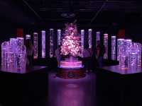 Art Aquarium Ginza: Living art exhibition 