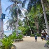 Where The Ocean Sings: Palawan Paradise