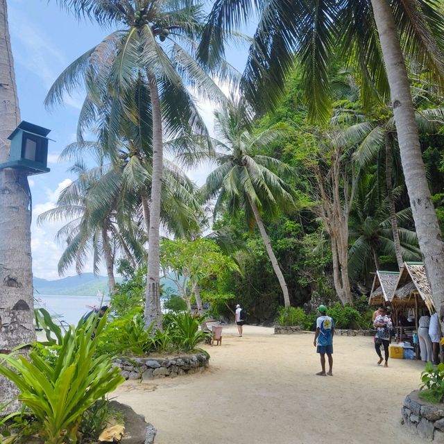 Where The Ocean Sings: Palawan Paradise