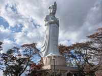 船岡城址公園，仙台近郊居高臨下的賞櫻名所