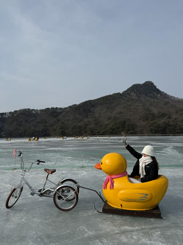 포천 여행 이렇게 다녀오세요 🩷