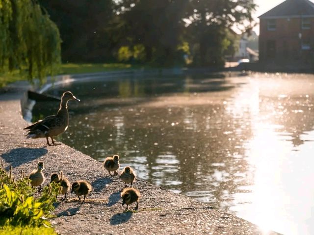 Countryside Calm & Heritage Charm: A Journey Through Uttlesford