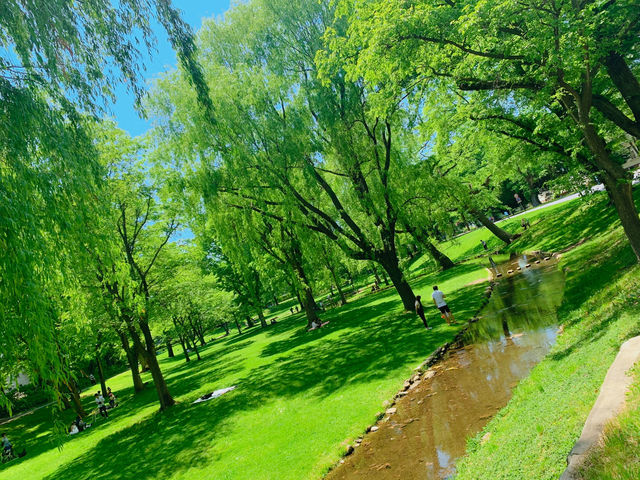 〜北海道大学で“学び”と“癒し”のひとときを〜