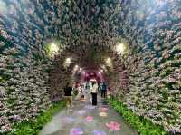 A Floral Wonderland Awaits