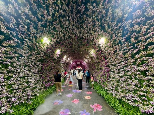 A Floral Wonderland Awaits