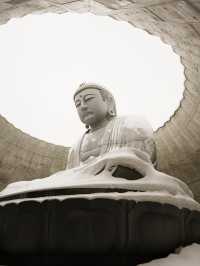 🇯🇵 Big Buddha Energy: One Peaceful Day in Hokkaido