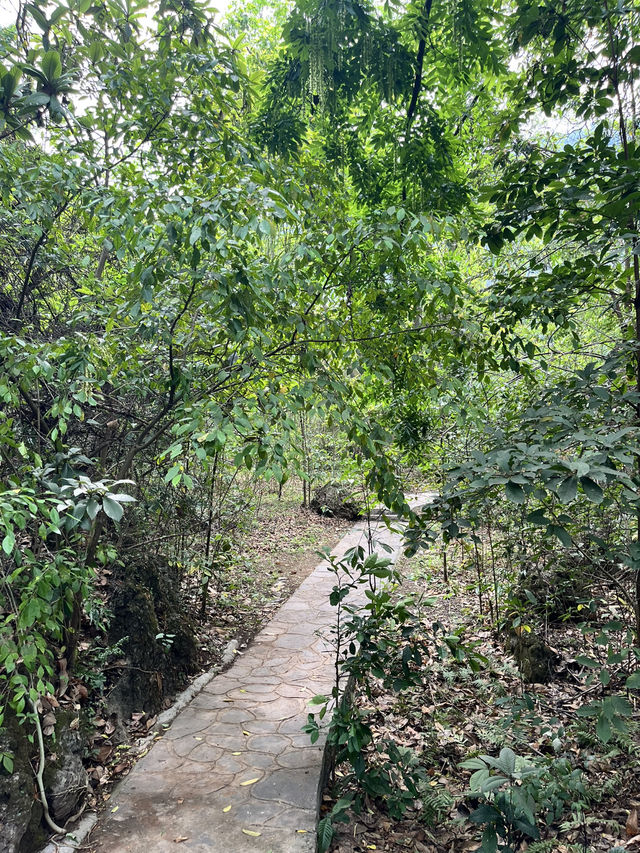 Exploring Huangguoshu Waterfall Scenic Area