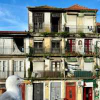 Tiles, Colors, and Cobblestones: A Street Wander Through Porto’s Living Canvas