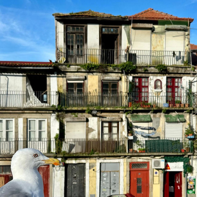 Tiles, Colors, and Cobblestones: A Street Wander Through Porto’s Living Canvas