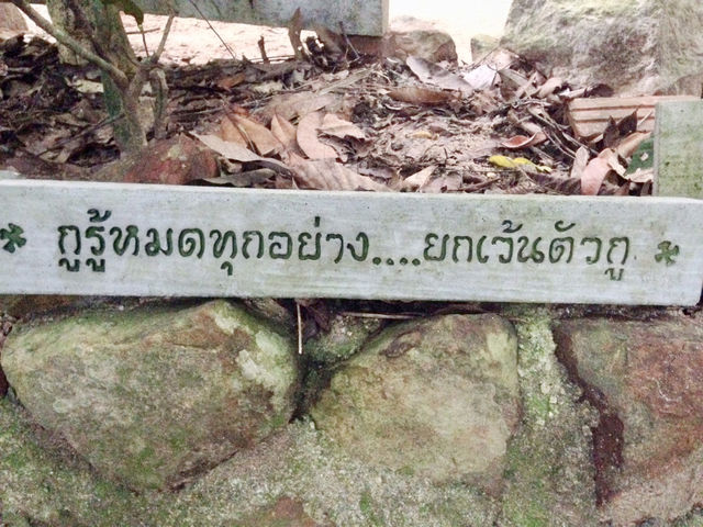 สวนโมกขพลาราม ฟังธรรม ท่านพุทธทาส 🙏🏻✨