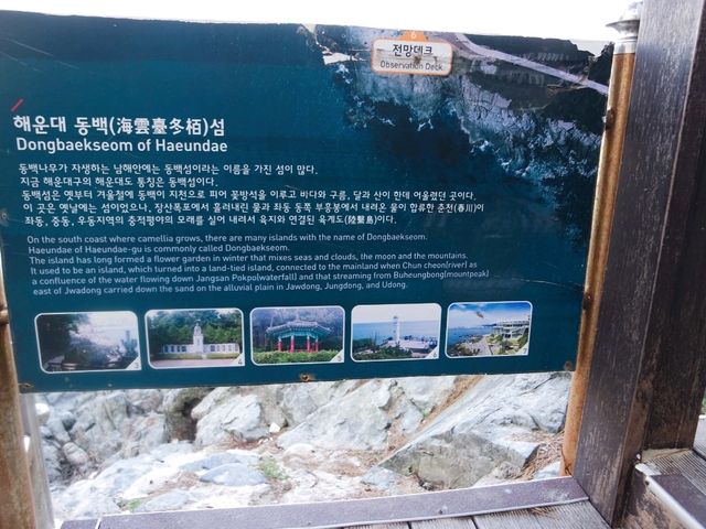 Discover the Enchanted Legend of Dongbaek Island🔥