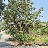 Good Cafe จันทบุรี