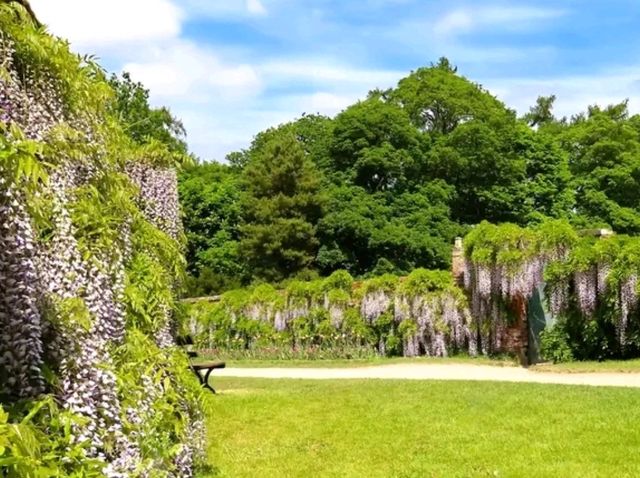 Sunshine, Secrets, and Blooms at Calke Abbey – A National Trust Gem