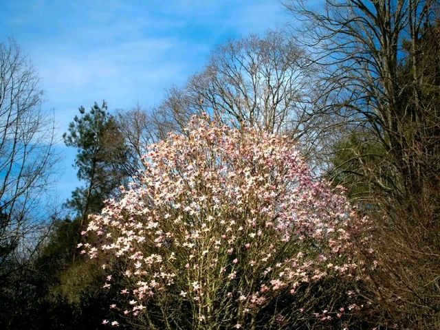 Scotney Castle – Romance and Ruins in the Kent Countryside