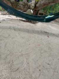 pasir bogak and coral bay resort nice and reasonable price