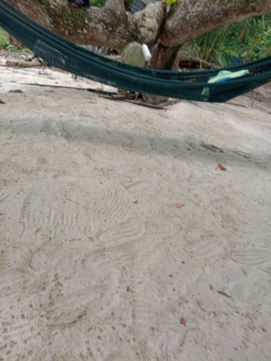 pasir bogak and coral bay resort nice and reasonable price