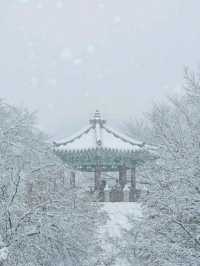 Title: Olympic Park: Seoul’s Legacy of Sport, Culture, and Nature