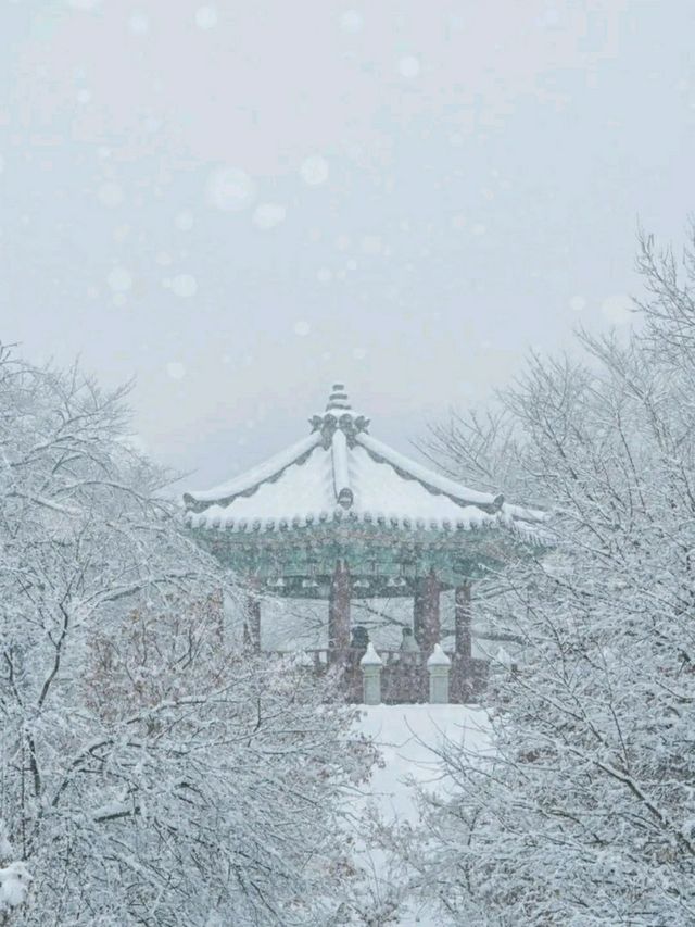 Title: Olympic Park: Seoul’s Legacy of Sport, Culture, and Nature