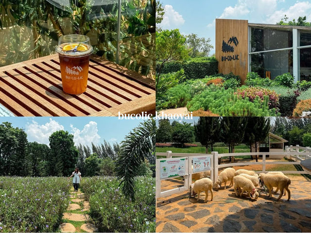 22 พิกัดคาเฟ่เขาใหญ่