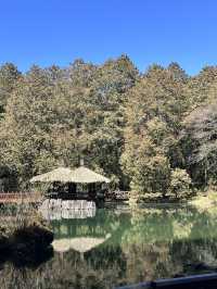 alishan national park