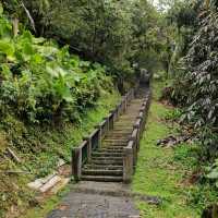 Refreshing Escape on Mt Qinglong Trail