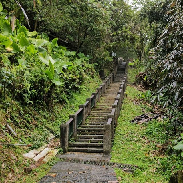 Refreshing Escape on Mt Qinglong Trail